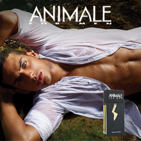 Animale For Man - 100ml